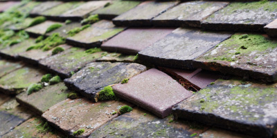 Galleywood roof repair costs